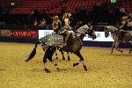 Quadrille - 00797